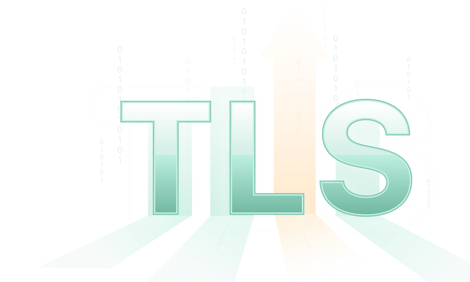 Everest VPN protocol - TLS